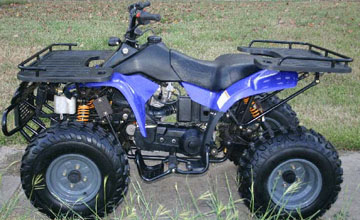 2007 Kazuma Dingo 250