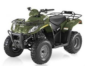 Arctic Cat 250 4x2 Automatic Quad Bike