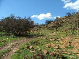 We turned a corner and an even more impressive hill was staring us in the face