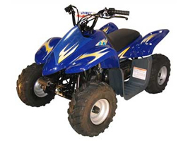 2007 Dinli Beast 90 pics