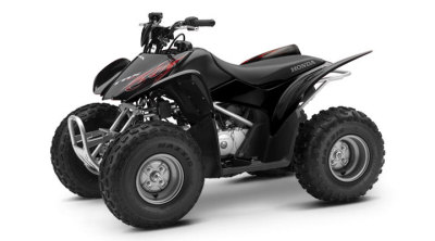 Honda SportTrax TRX90EX Black Flame Quad Bike