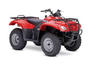 2007 Suzuki Eiger 400 4x4 Automatic pics