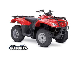 Suzuki Eiger 400 4x4 Semi-Automatic 2007 picture
