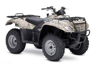 Suzuki Eiger 400 4x4 Semi-Automatic Camo 2007 pictures