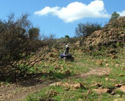 Climbing the Rocky Hill Standing