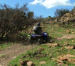 Climbing the Rocky Hill