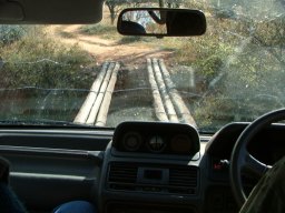 Pole bridge on Elephant Hill