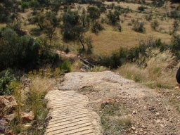 Elephant Hill top view