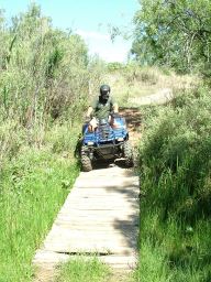 First Obstacle: Log Bridge