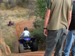 Rustler quad bike downhill