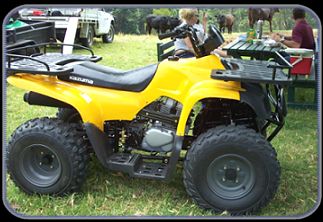 Used Kazuma Cougar 250cc 2002 Quad Bike for sale