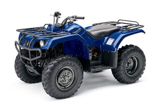 Bruin 2x4 350 automatic quad bike