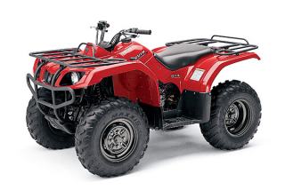 Bruin 4x4 350 automatic quad bike