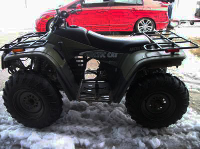 Arctic Cat 250 4X4 2002
