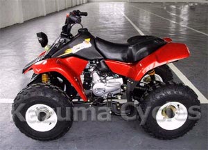 Kazuma Panda 100 4SA