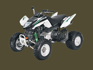 Arctic Cat 300 DVX 2010