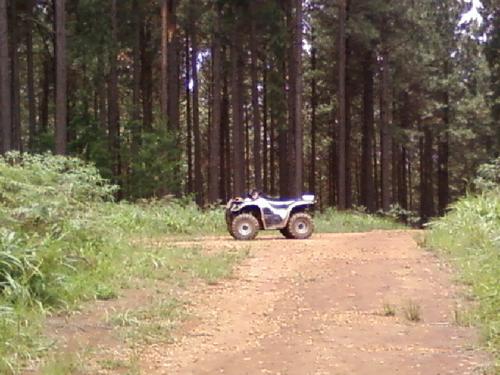 2010 Kazuma Jaguar 500 4x4 for sale