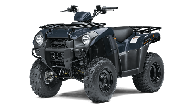 Kawasaki Brute Force 300