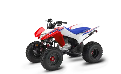 Honda Honda TRX 250X 250X 2025