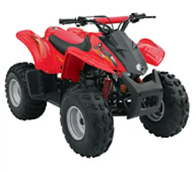 Can-Am Can-Am DS 90 4-stroke CVT 90 4-stroke CVT 2007