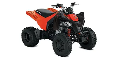 Can-Am Can-Am DS 250 250 2020