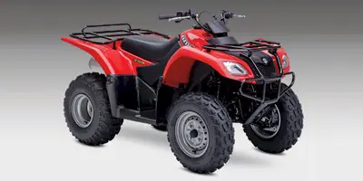 Suzuki Suzuki Ozark 250 250 2012