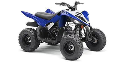 Yamaha Yamaha Raptor 90 90 2020