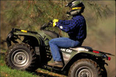 Arctic Cat 250 2X4 2002