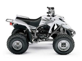 Yamaha Blaster 200 2006