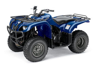 Yamaha Bruin 250 4x2 2006