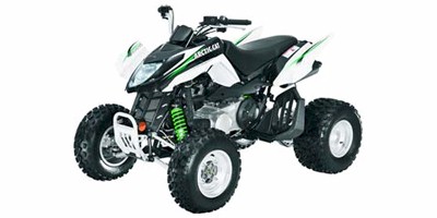 Arctic Cat 300 DVX 2009