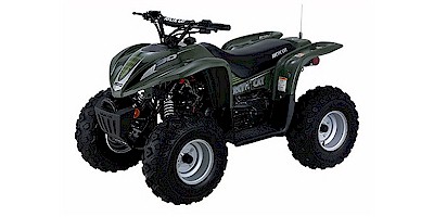 Arctic Cat 90 2x4 4-Stroke 2004