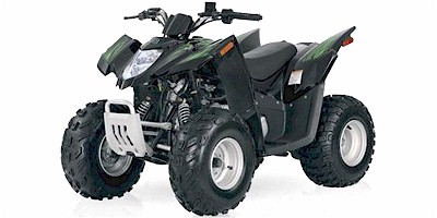 Arctic Cat 90 DVX 2x4 2008