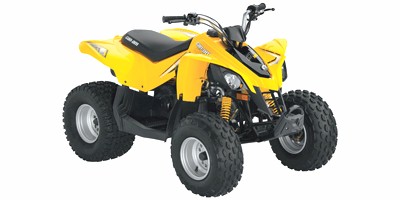 Can-Am DS 250