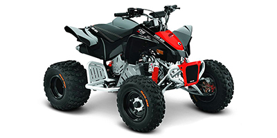 Can-Am DS 90 X