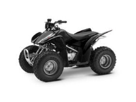 Honda Sportrax TRX90 2006
