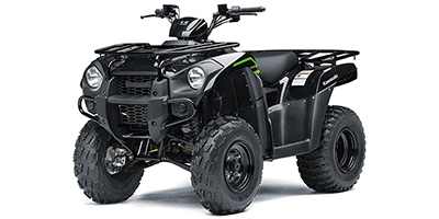 Kawasaki Brute Force 300