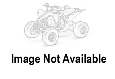 Can-Am Can-Am DS 250 250 2025