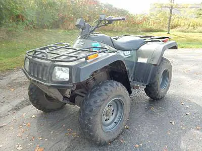 Arctic Cat Arctic Cat 375 2X4 Automatic 2X4 Automatic 2002 quad bike specs