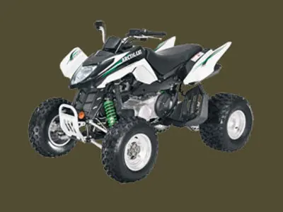 Arctic Cat Arctic Cat 300 DVX DVX 2010 quad bike specs