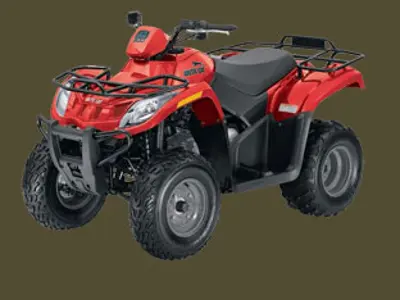 Arctic Cat Arctic Cat 300 2X4 2X4 2010 quad bike specs
