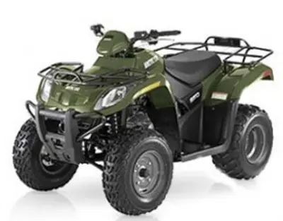 Arctic Cat Arctic Cat 250 2x4 Automatic 2x4 Automatic 2007 quad bike specs