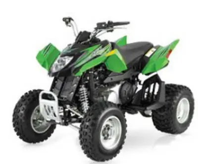 Arctic Cat Arctic Cat DVX 250 250 2007 quad bike specs