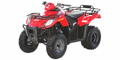 Arctic Cat Arctic Cat 250 2x4 2x4 2006 quad bike specs